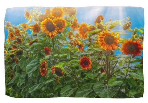 Sunflower Pack Kitchen Towel