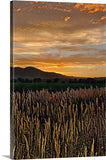 Western Skies at Sunset Canvas Print