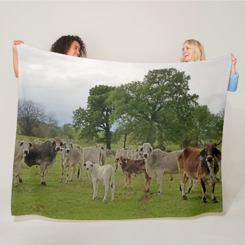 Texas Prairie Brahmans Fleece Blanket