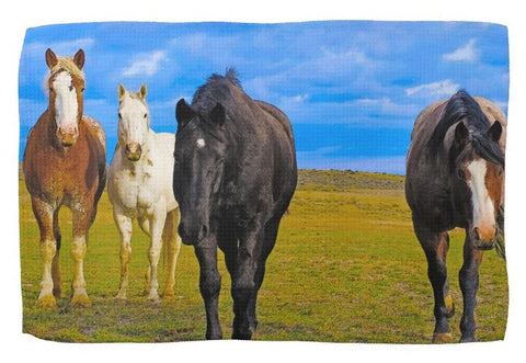 The Four Musketeers Kitchen Towel