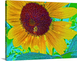The Sunflower And The Bee Canvas Print