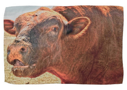 Too Close For Bull Kitchen Towel