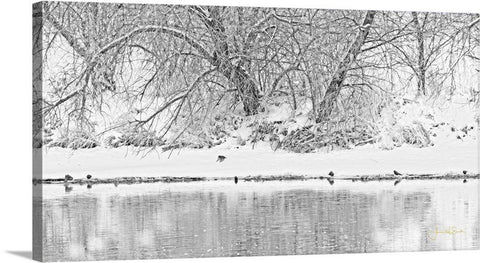 Winter Scene on the Platte River Canvas Print