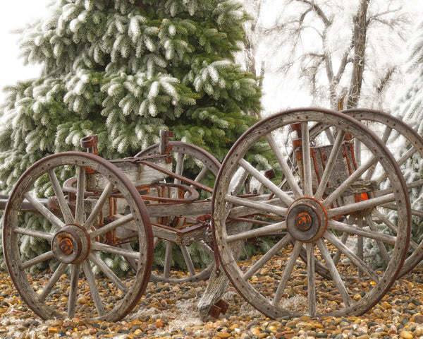 Wagon in Winter Canvas Print
