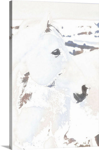 White Desert Ghost Canvas Print