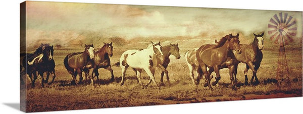 Wild Horses and Windmills Canvas Print