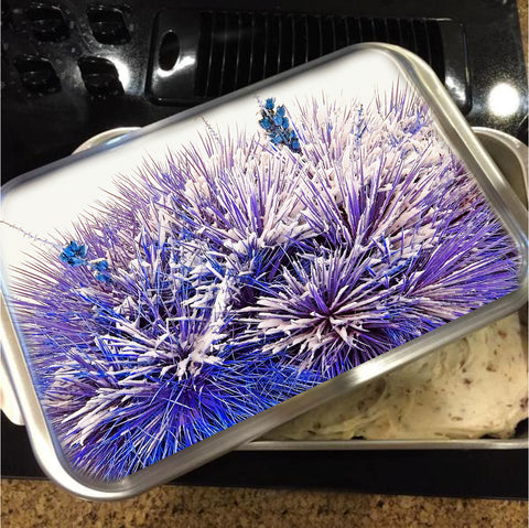 Winter Yucca in Blue Cake Pan with Lid