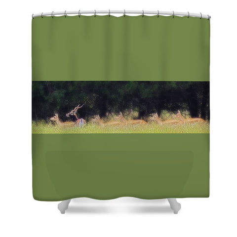 A Buck and a Show Shower Curtain
