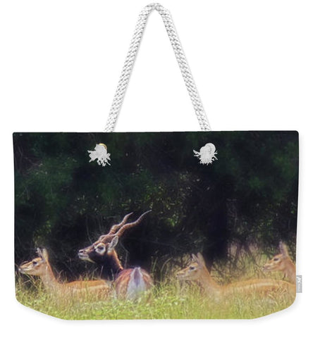 A Buck and a Show Weekender Tote bag