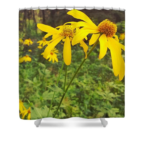 A Walk in the Woods Shower Curtain