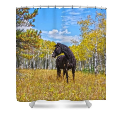 Aspen Gold in Black and White Shower Curtain