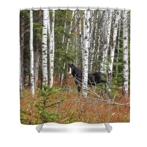 Black And White In Aspen Shower Curtain