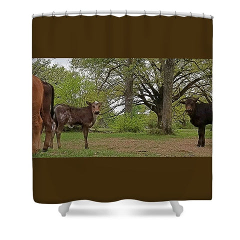 Bookends and Ends Shower Curtain