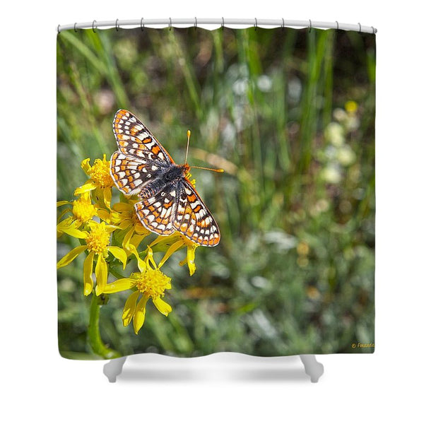 Butterfly in Aspen Shower Curtain