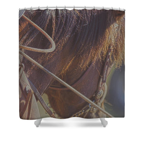 Daly Hold Shower Curtain