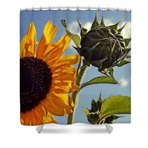 Early Riser Shower Curtain
