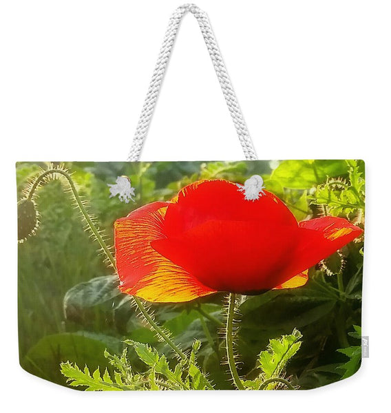Red Poppy at Sunset Weekender Tote bag