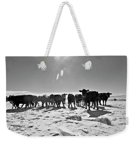 Heifers in the Snow Weekender Tote bag