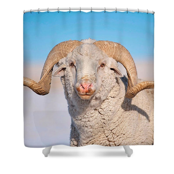 In Charge Shower Curtain