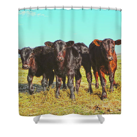 In the Mood for Hay Shower Curtain
