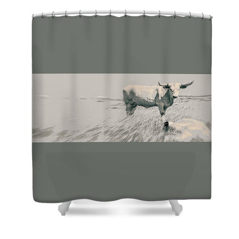 In the Still of the Grey Shower Curtain