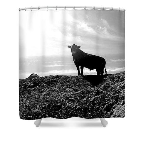 King of the Hill Shower Curtain