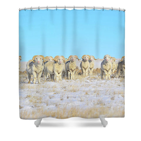 Line Em Up Rams Shower Curtain
