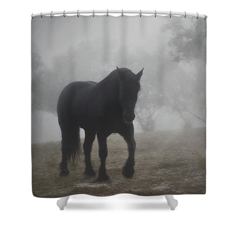 Medieval in the Mist Shower Curtain