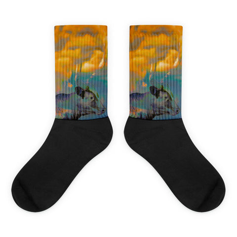 Storm Chaser - Black foot socks
