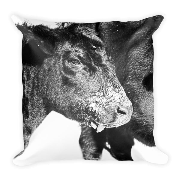Black and White on Angus Throw Pillow