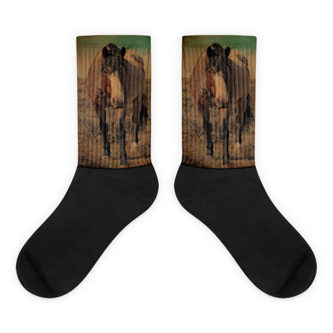 Red Roan And Sage Brush - Black foot socks