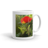 Red Poppy at Sunset Mug