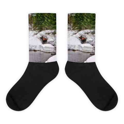 Moose in Alaska - Black foot socks