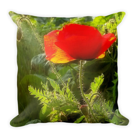 Red Poppy at Sunset Throw Pillow