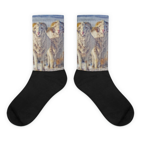 Double the Ram Power - Black foot socks