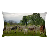 Texas Prairie Brahmans Rectangular Pillow