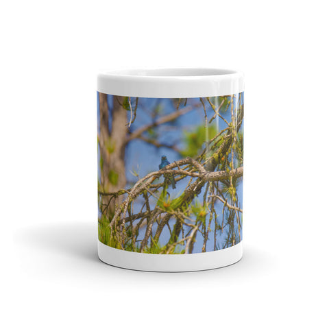 Mountain Bluebird Mug