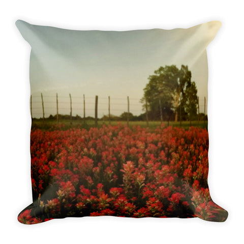 The Red Paint of Texas Throw Pillow