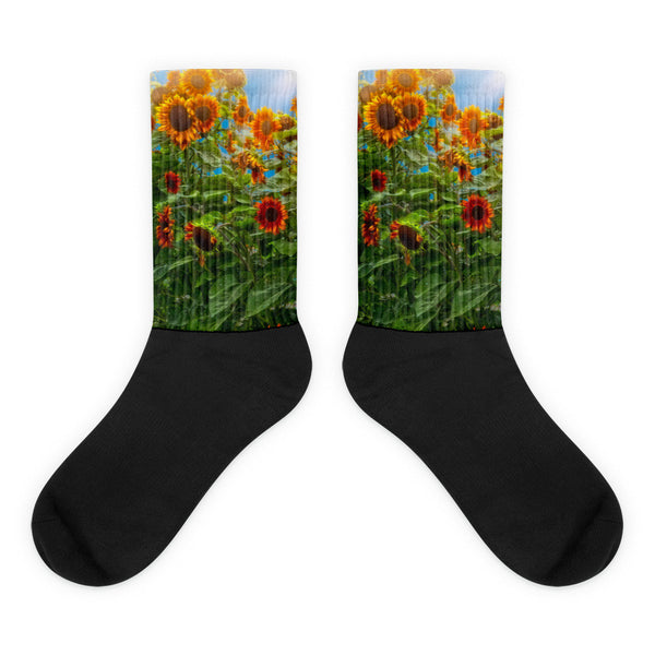 Sunflower Pack - Black foot socks
