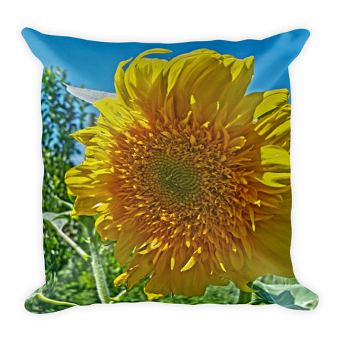 Candy Tuft Sunflower Throw Pillow