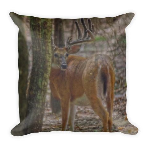 Whitetail Buck in Woods Throw Pillow