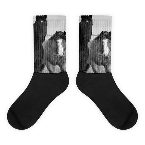 Coated Curiosity - Black foot socks