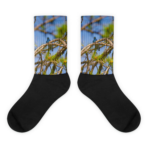 Mountin Bluebird - Black foot socks