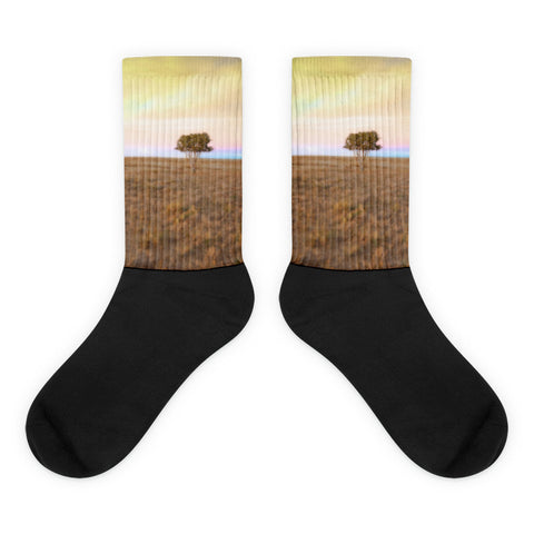 Cedar Tree at Sunset - Black foot socks