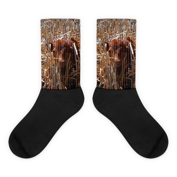 Calftails Cattails - Black foot socks