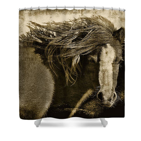 Winds of Time Shower Curtain
