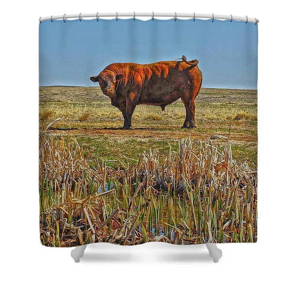 Pigtail Bull - Shower Curtain