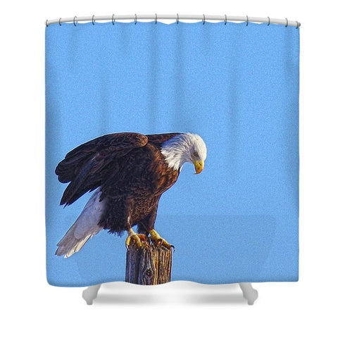 Preparing for Patriotic Flight Eagle Shower Curtain