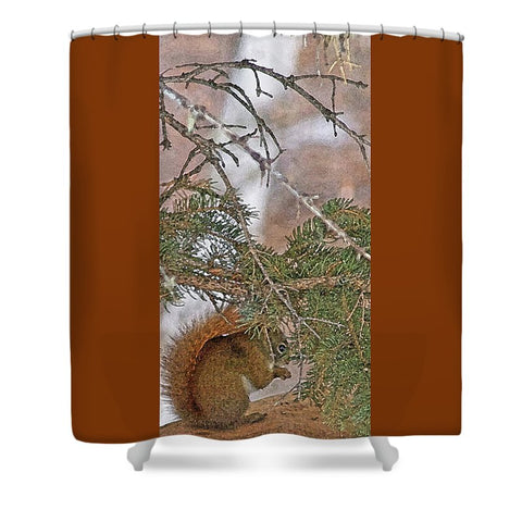 Squirrel, Pine Tree and a Nut Shower Curtain