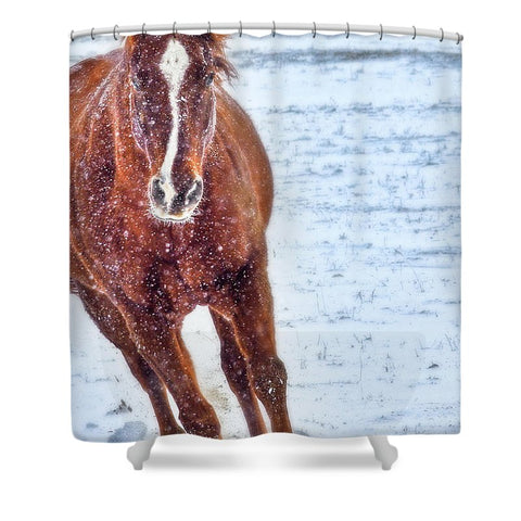 Sundancing in the Snow Shower Curtain